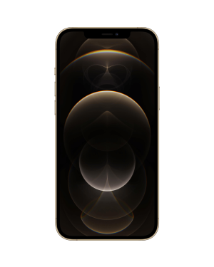 Apple iPhone 12 Pro Max 256Gb Gold Unlocked Grade B